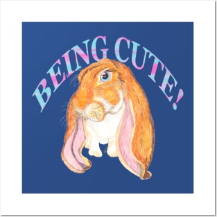 ENGLISH LOP BEING CUTE Posters and Art